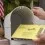 USPS Mail Vote Rules: Possible Changes Ahead