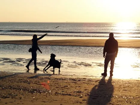Victim loses £500 to rogue landscapers in seaside town