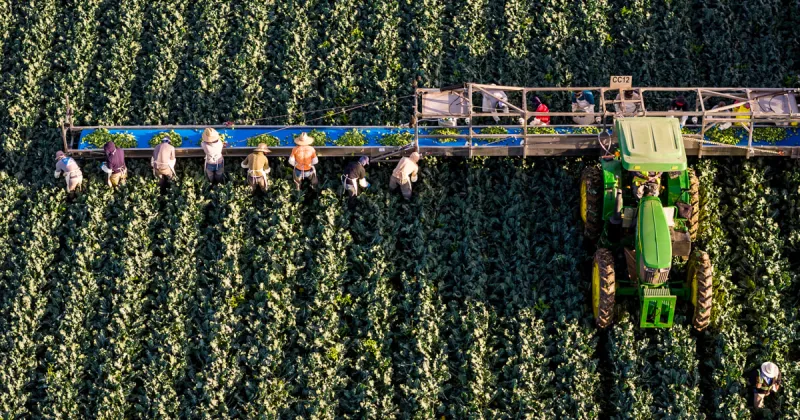Water cuts are coming for Arizona. Is your salad on the chopping block?