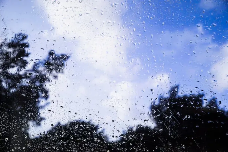 Weather Forecast for May 16, 2026