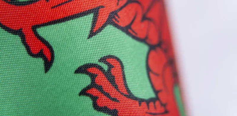 Welsh language skills decline after school, study finds