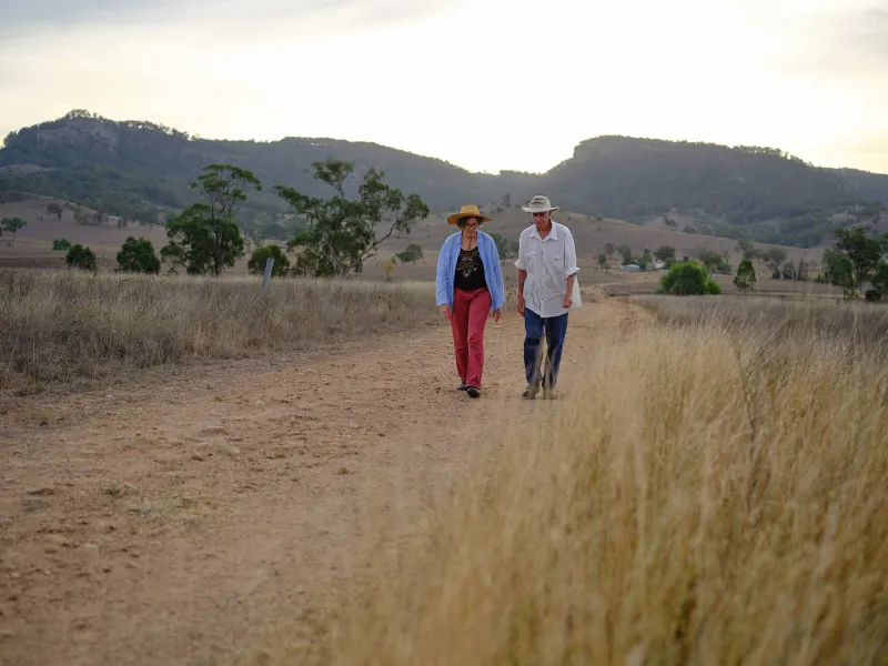 Wendy's Mine Case Reaches High Court, Global Attention