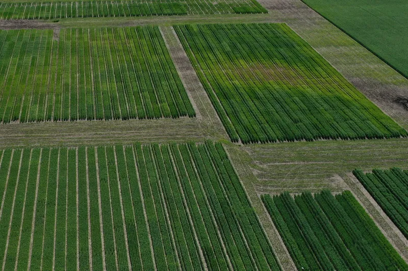 Westlock County Declares Agricultural Disaster After Heavy Rain