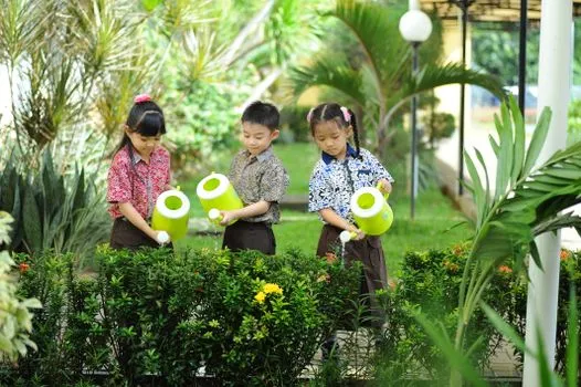 Wexford pupils learn horticulture in school garden project