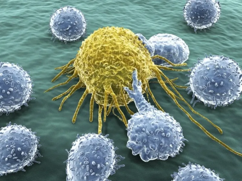 WHO Warns of 77% Rise in Cancer Cases by 2050, Morocco Faces Challenge