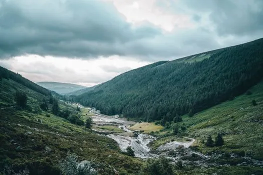 Wicklow Councillors Urge IDA to Utilize Underused Public Asset