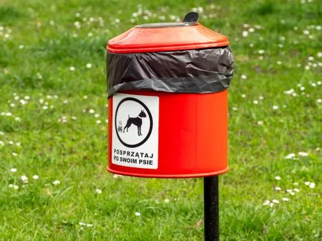Wicklow waste complaints top 1,500; fines and CCTV ramped up