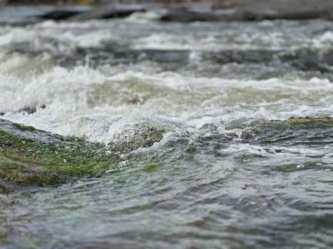 WICOLA Raises Concerns Over Silver Rapids Development