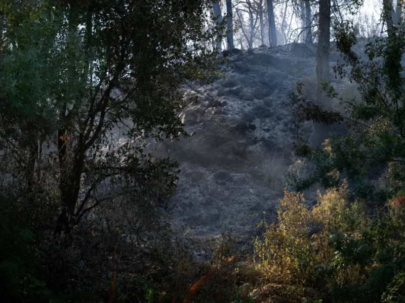 Wildfire near Almeria kills at least 11