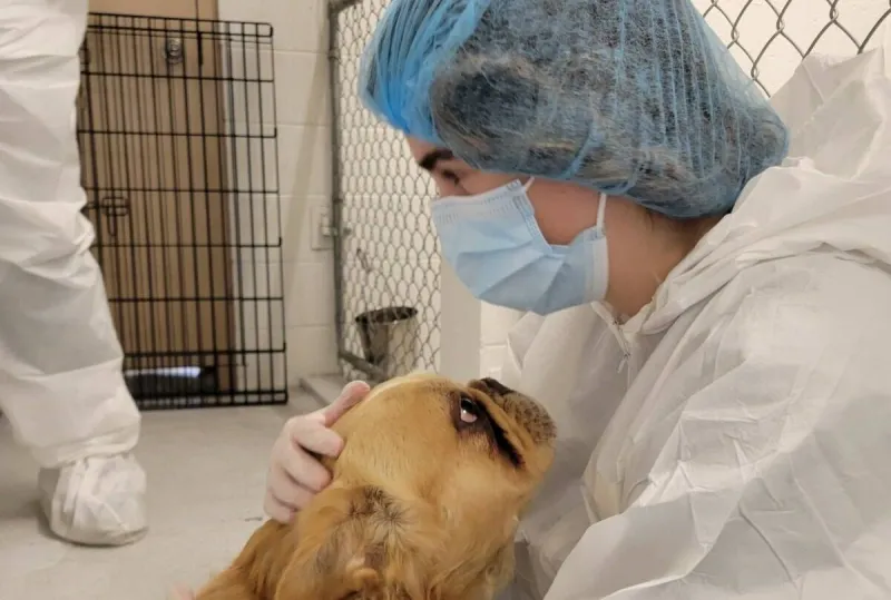 Wildlife Care Costs Strain West Kootenay Rescuers