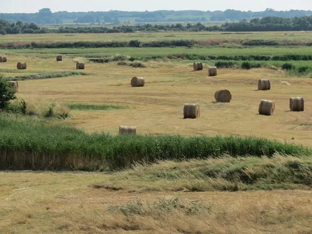 World Bank Approves $500M for Morocco Green Growth
