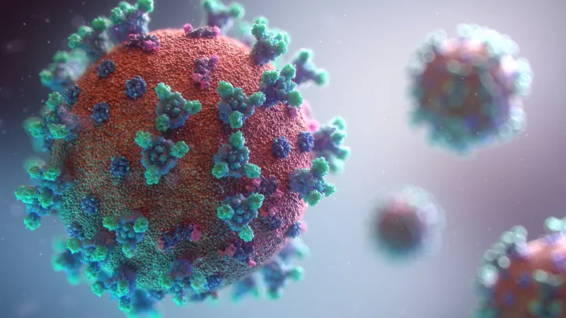 World Hepatitis Day 2026: WHO urges action to eliminate viral hepatitis