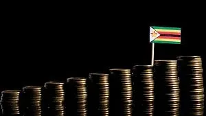 Zimbabwe seeks $200M UAE investment for mining, energy, agri
