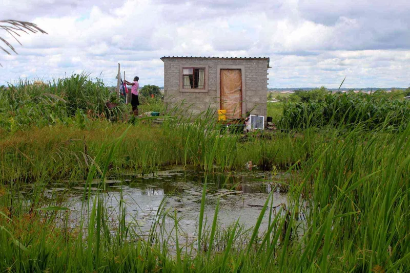 Zimbabwe senators warn of wetland destruction crisis